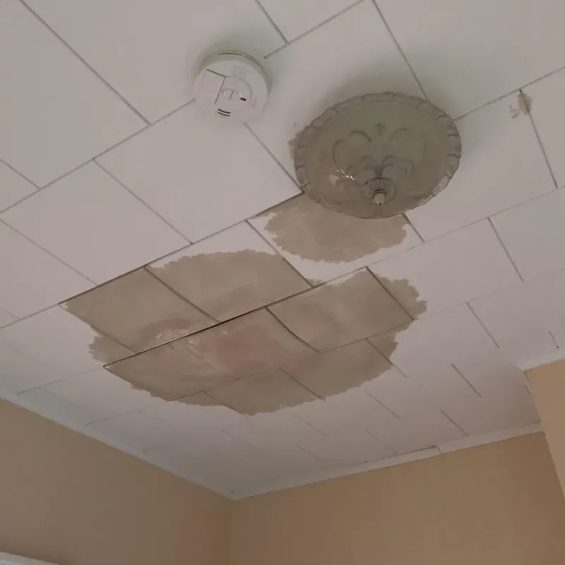 Ceiling Water Damage Repair in Penitas, TX